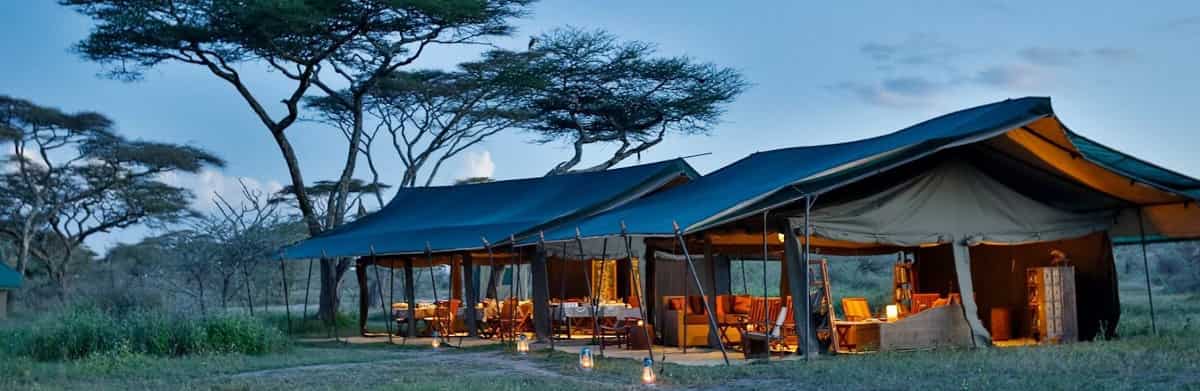 Serengeti Experience 4 Day Camping 4 Days Safari Budget