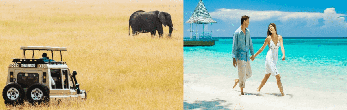 12-Days Wildlife Safari and Zanzibar.