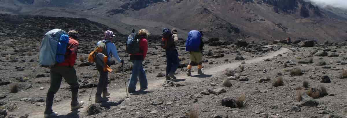 7-Days Kilimanjaro Climb Tour.