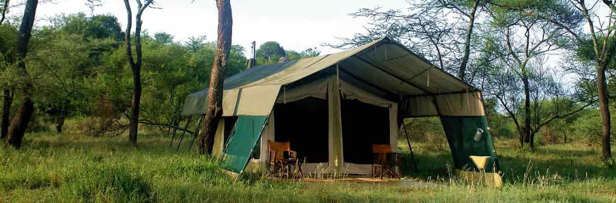 Awesome Tanzania | 2-Days Camping Safari.