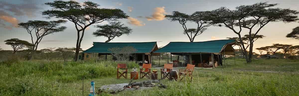 Serengeti Exclusive | 3-Day Camping Safari.