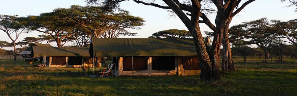 5-Days Serengeti Tour Package.