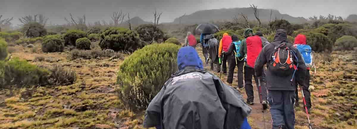 Mt. Kilimanjaro Climbing | Routes Selections.